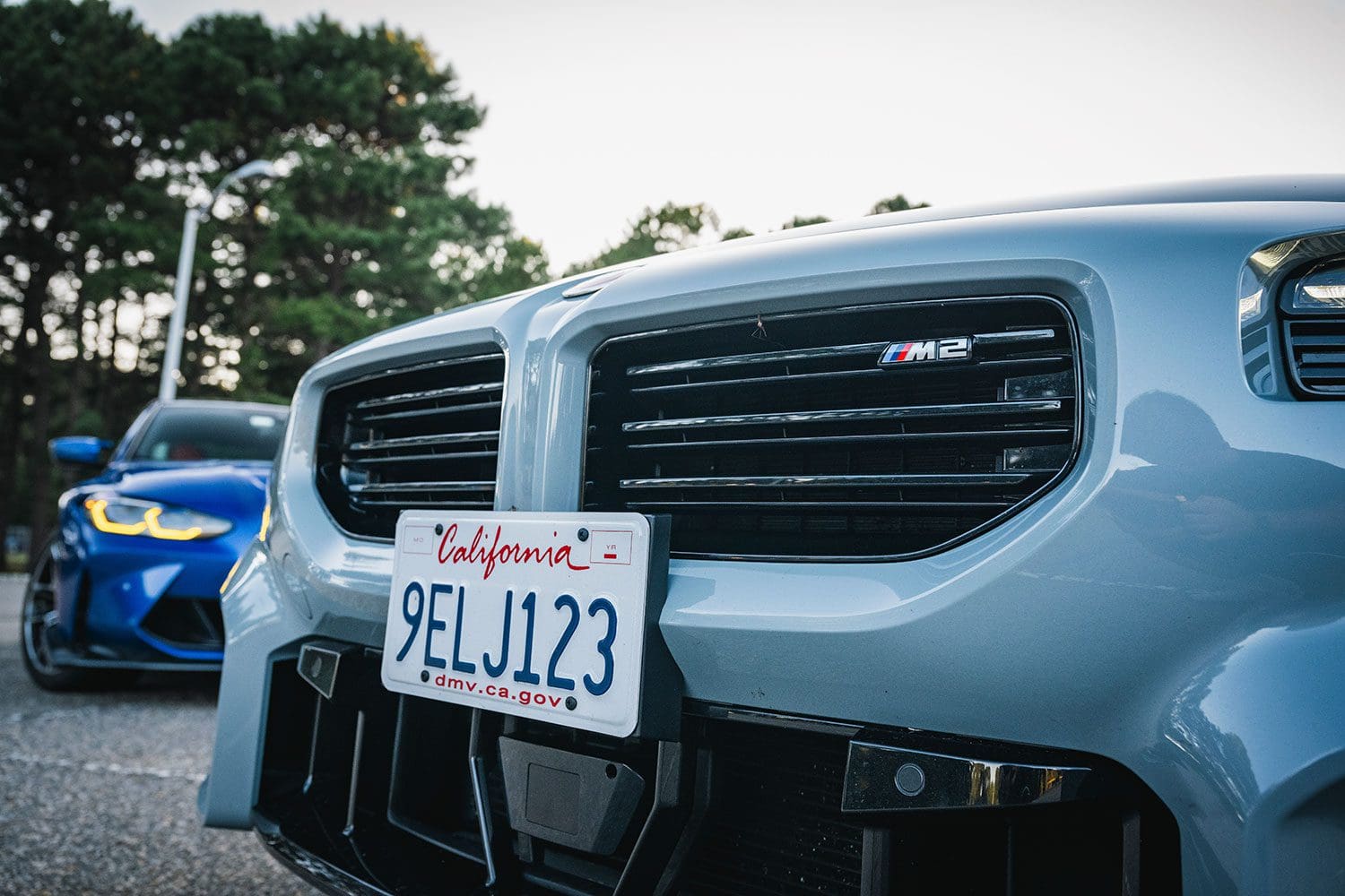 M2 grille